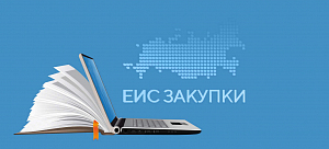 Оплата контрактов без ЕИС Оплата контрактов без ЕИС